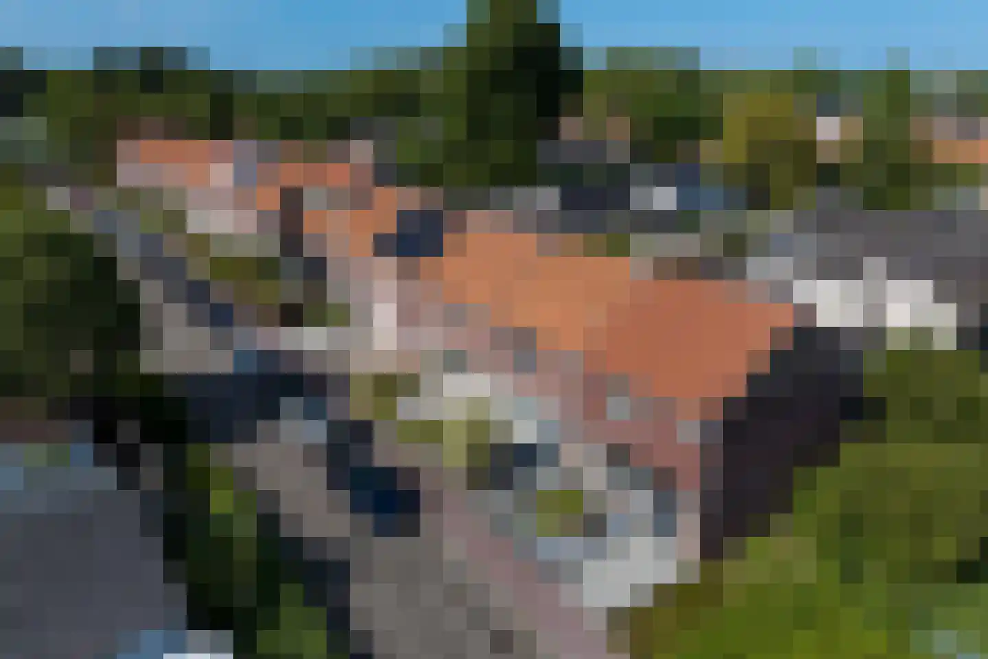 Jacobsdreef 2 Veldhoven thumbnail 47