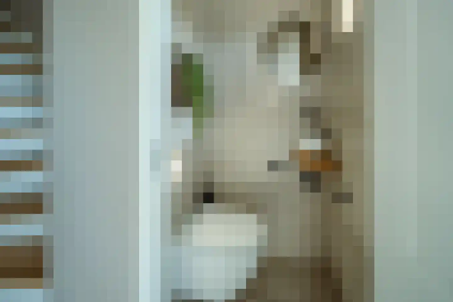 Jacobsdreef 2 Veldhoven thumbnail 8