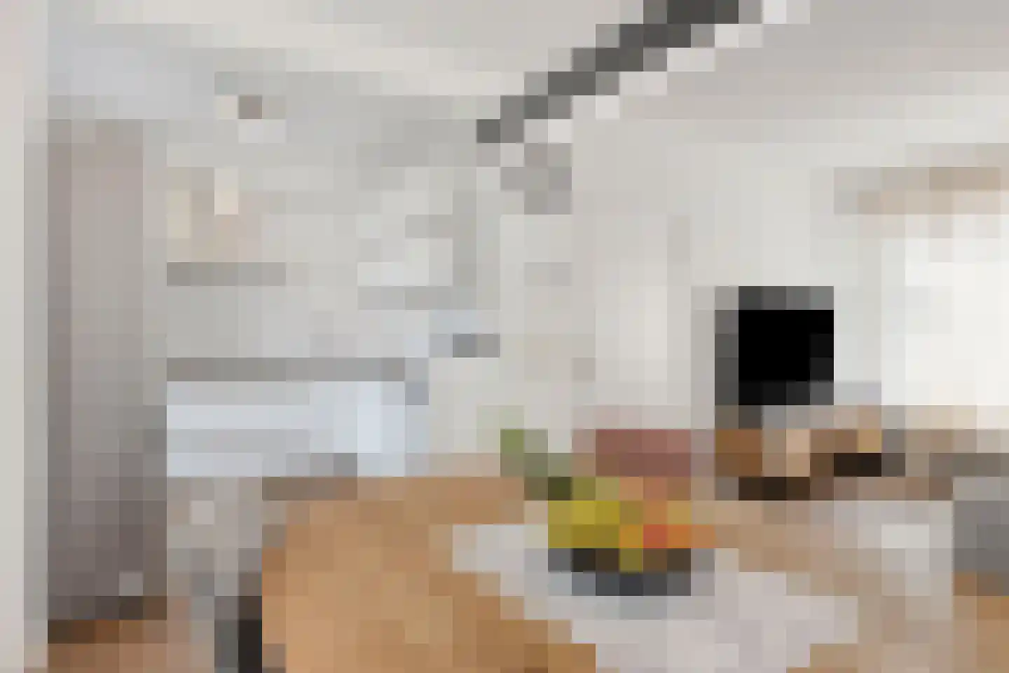 Jacobsdreef 32 Veldhoven thumbnail 9