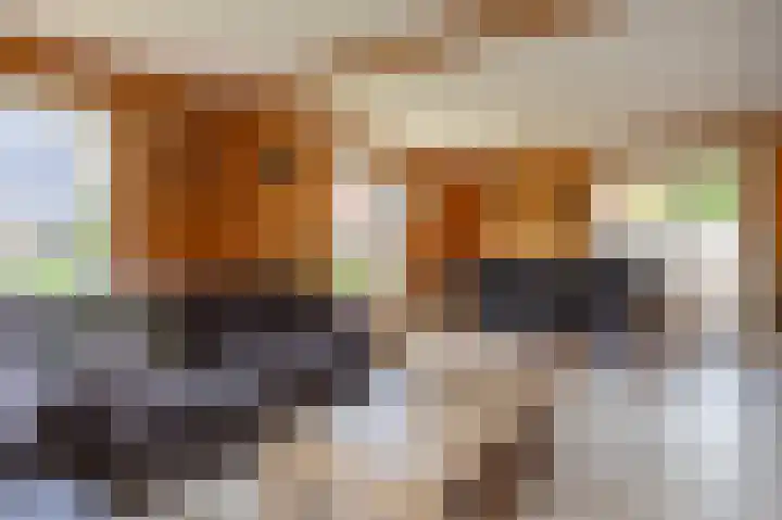Jacobshiem 15 Nes thumbnail 11