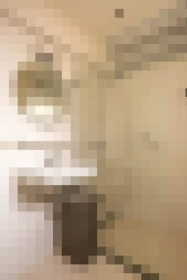 Jacobshiem 15 Nes thumbnail 16