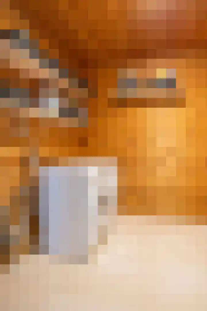 Jacobshiem 15 Nes thumbnail 19