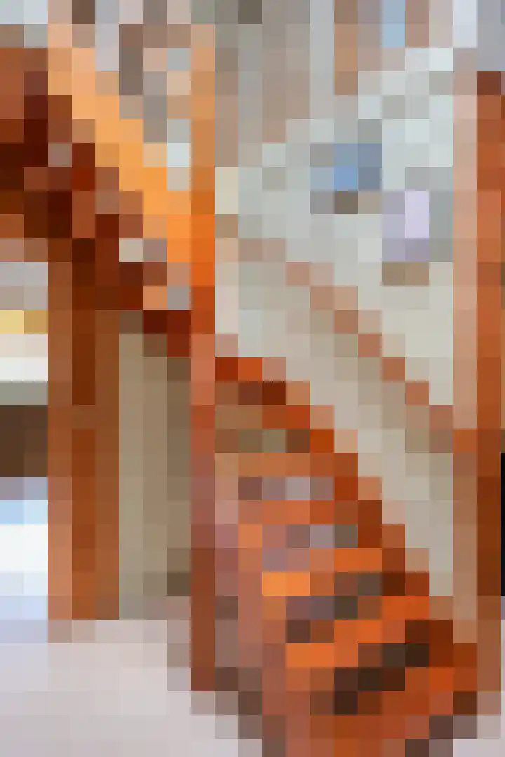 Jacobshiem 15 Nes thumbnail 22