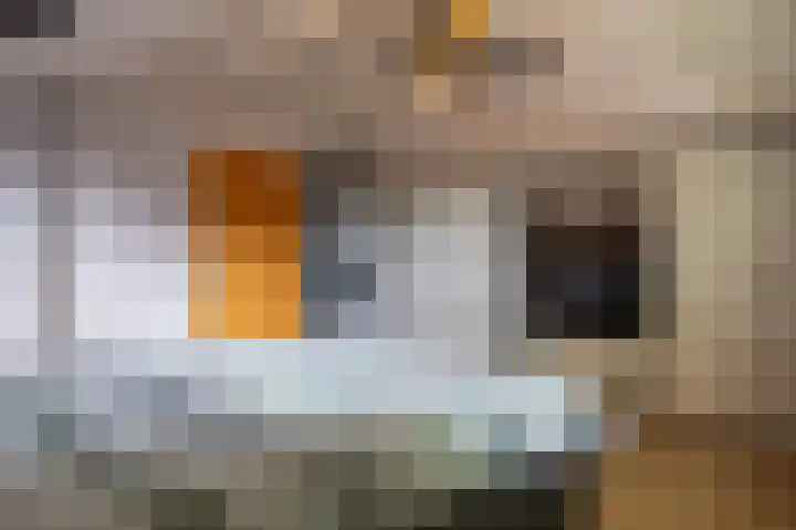 Jacobshiem 15 Nes thumbnail 24