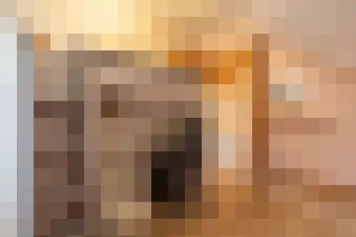 Jacobshiem 15 Nes thumbnail 29