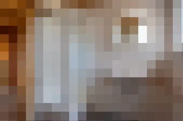 Jacobshiem 15 Nes thumbnail 32