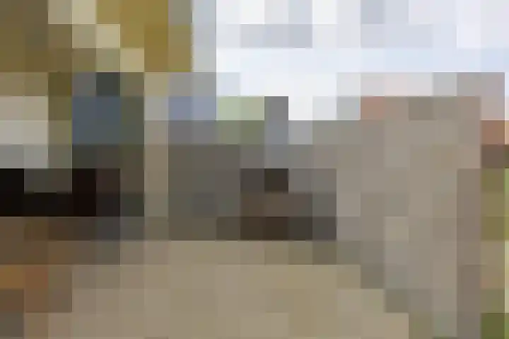 Jacobshiem 15 Nes thumbnail 34