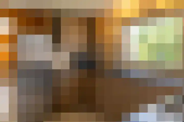 Jacobshiem 15 Nes thumbnail 6