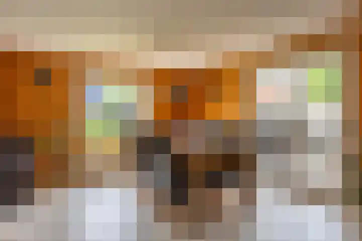 Jacobshiem 15 Nes thumbnail 9