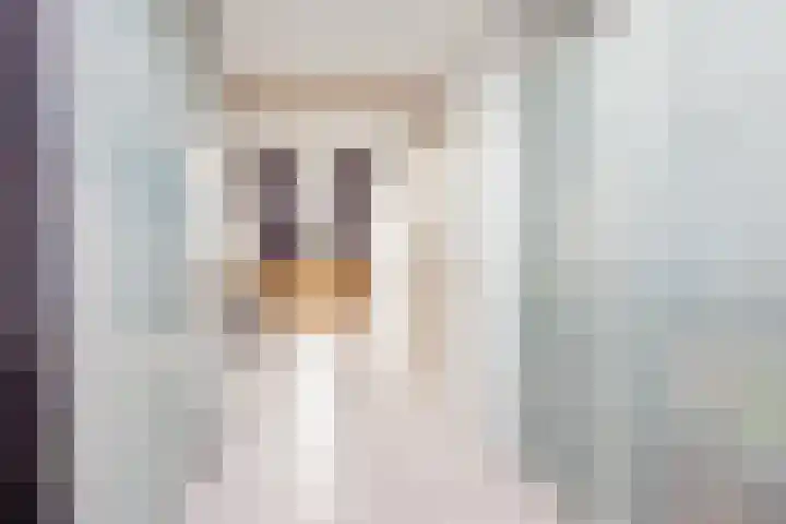 Jacobshoeve-erf 17 Woudenberg thumbnail 38