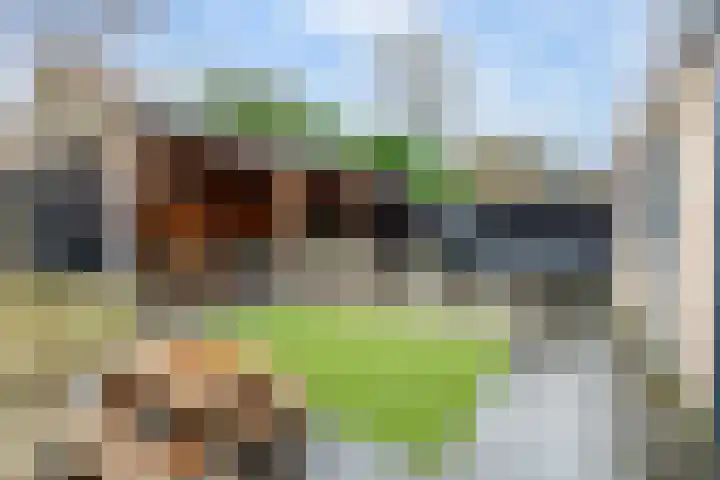 Jacobshoeve-erf 17 Woudenberg thumbnail 4