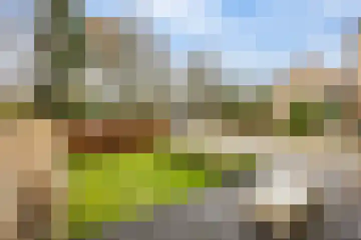 Jacobshoeve-erf 17 Woudenberg thumbnail 56