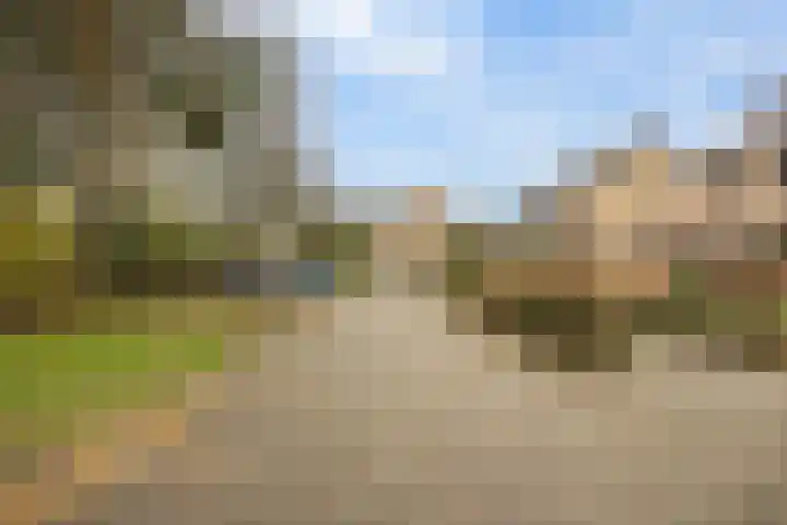 Jacobshoeve-erf 17 Woudenberg thumbnail 57