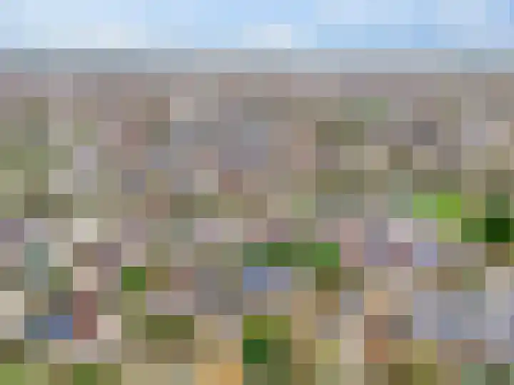 Jacobshoeve-erf 17 Woudenberg thumbnail 60