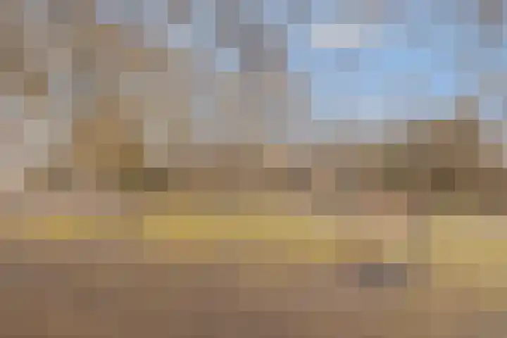 Jacobshoeve-erf 18 Woudenberg thumbnail 35