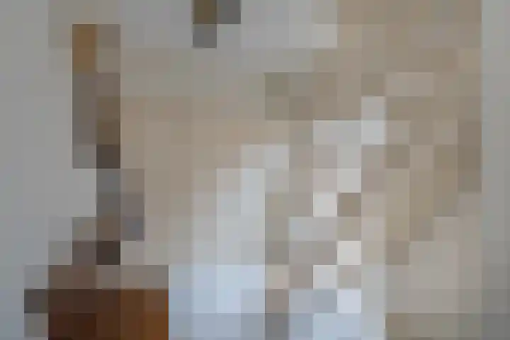 Jacobskamp 24 Den Dungen thumbnail 10