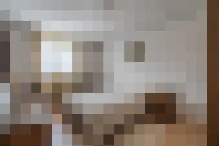 Jacobskamp 24 Den Dungen thumbnail 12