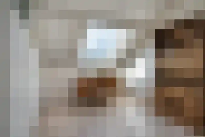 Jacobskamp 24 Den Dungen thumbnail 16