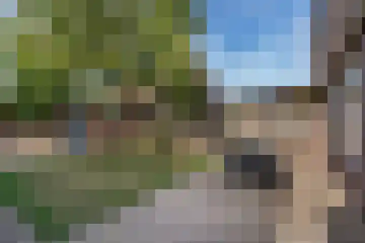 Jacobskamp 24 Den Dungen thumbnail 17