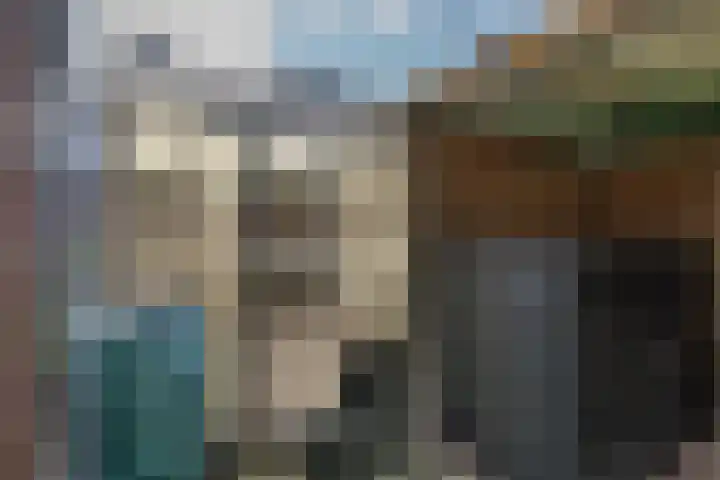 Jacobskamp 24 Den Dungen thumbnail 19