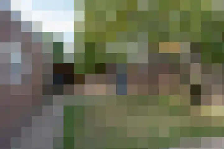 Jacobskamp 24 Den Dungen thumbnail 20