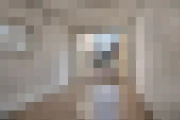 Jacobskamp 24 Den Dungen thumbnail 21