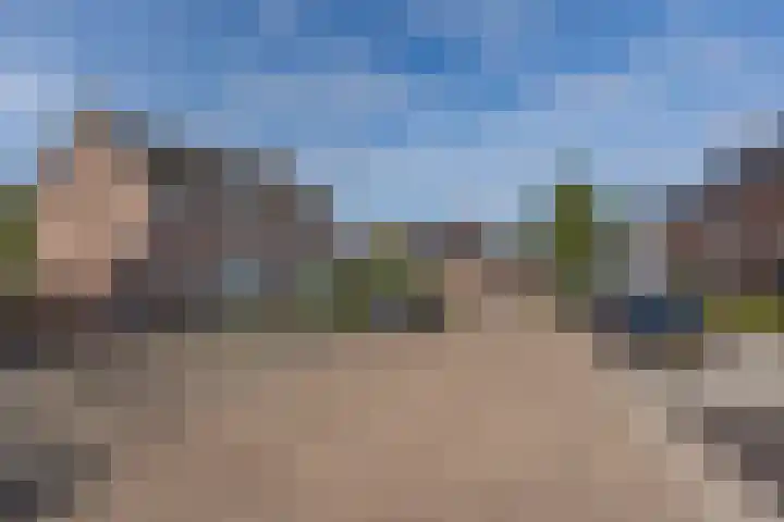 Jacobskamp 24 Den Dungen thumbnail 23