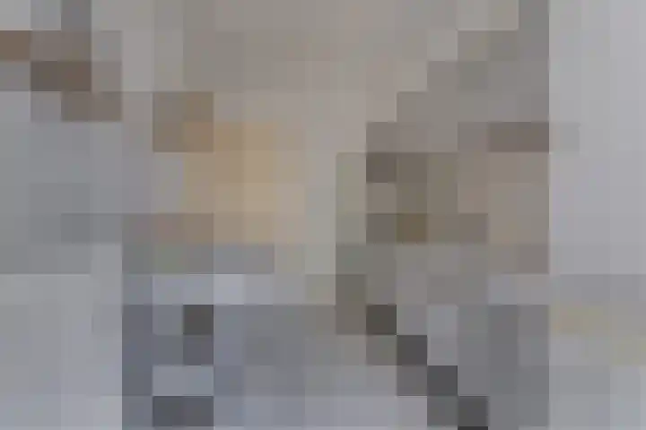 Jacobskamp 24 Den Dungen thumbnail 7
