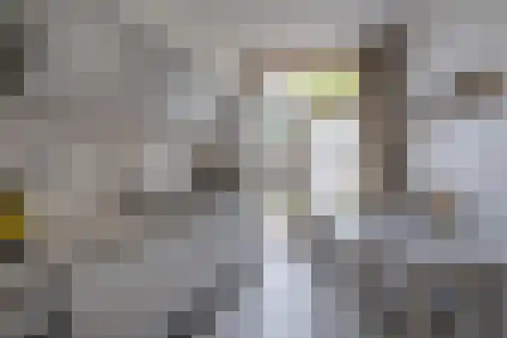 Jacobskamp 24 Den Dungen thumbnail 8