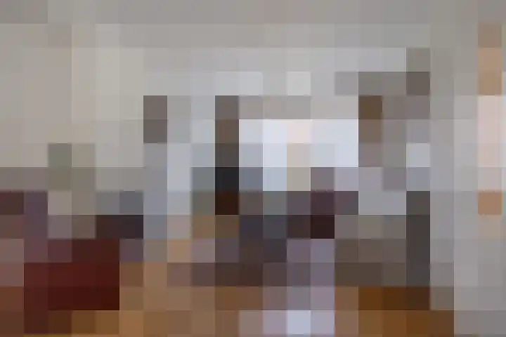 Jacobskamp 24 Den Dungen thumbnail 9