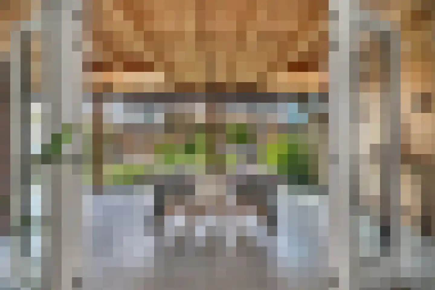Jacobskamp 33 Den Dungen thumbnail 11