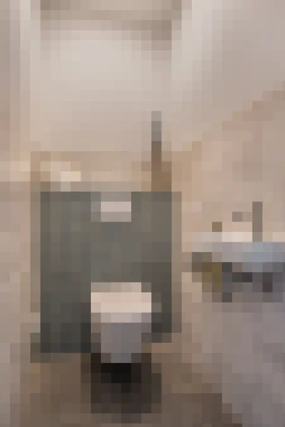 Jacobskamp 33 Den Dungen thumbnail 15