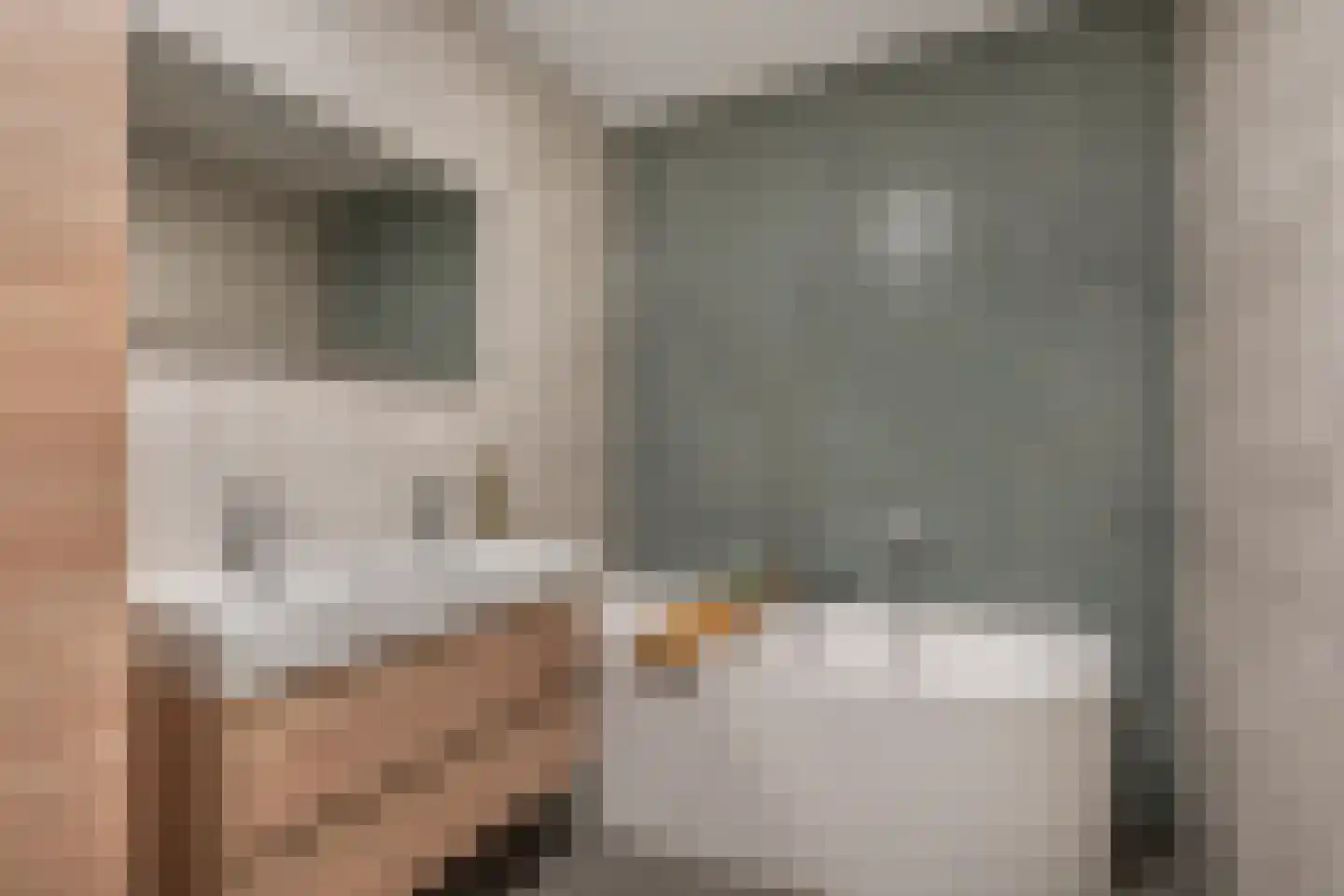 Jacobskamp 33 Den Dungen thumbnail 20