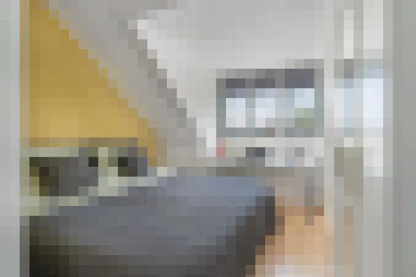 Jacobskamp 33 Den Dungen thumbnail 23