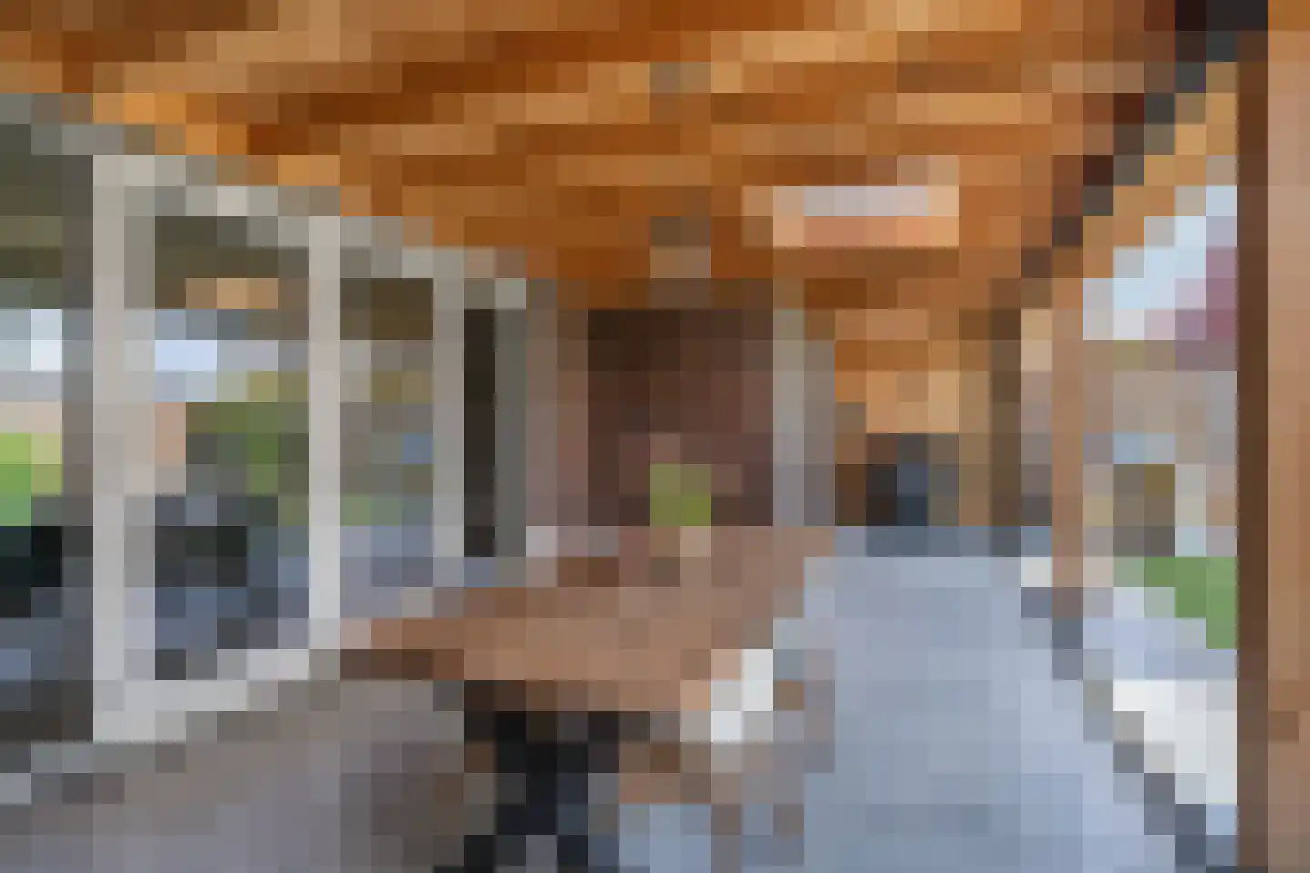Jacobskamp 33 Den Dungen thumbnail 29
