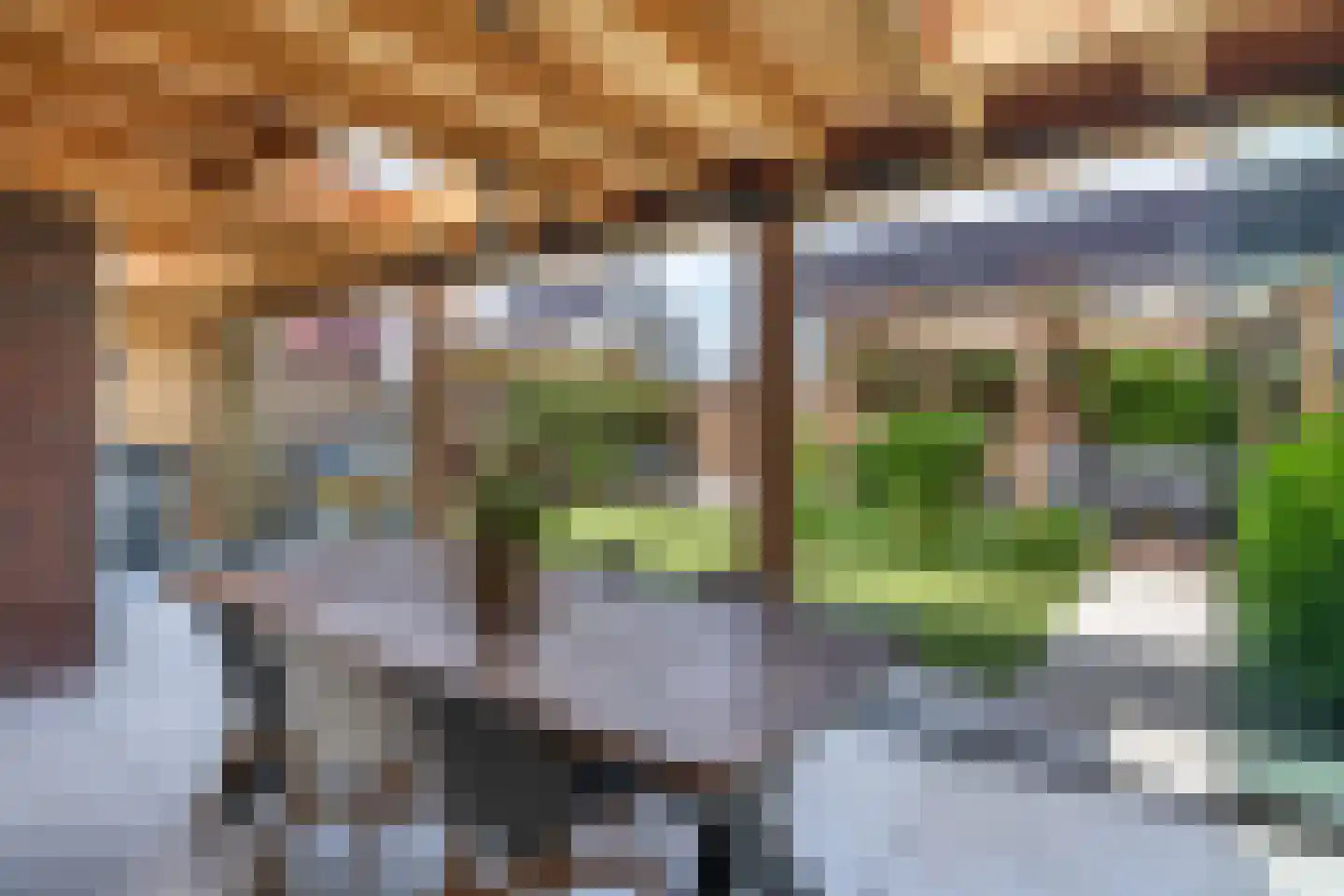 Jacobskamp 33 Den Dungen thumbnail 30