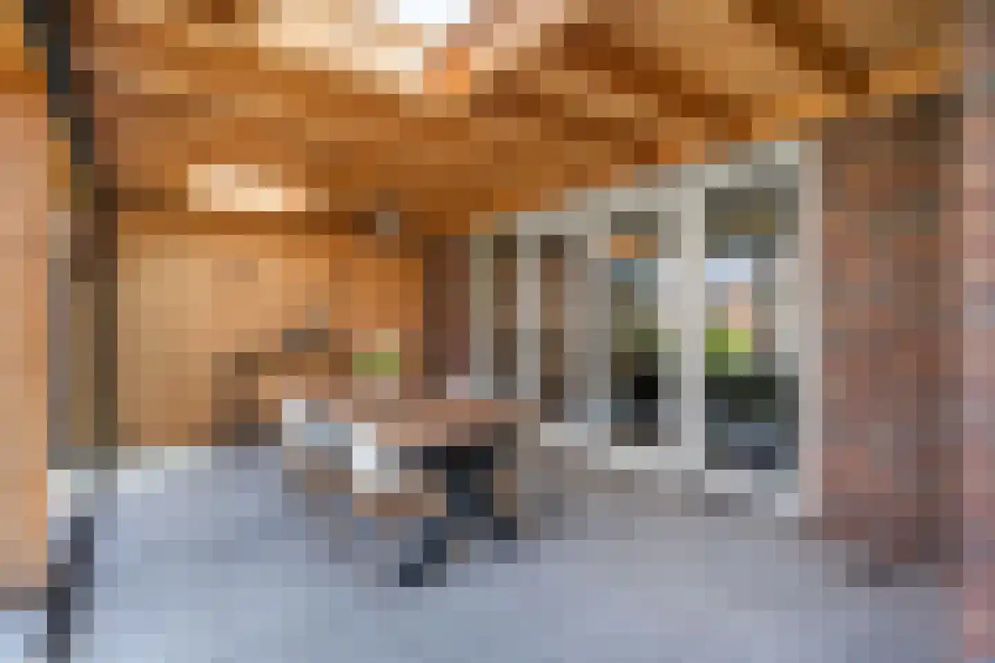 Jacobskamp 33 Den Dungen thumbnail 31