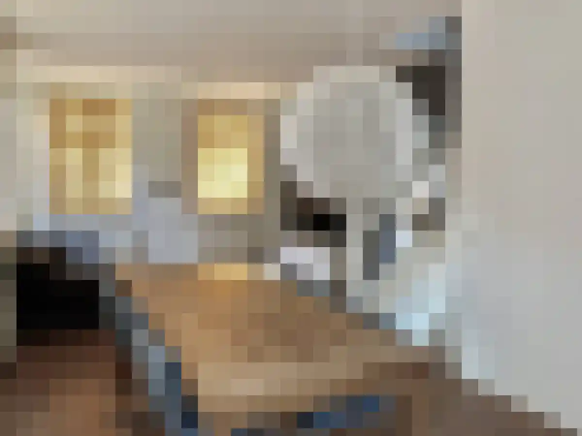 Jacobskerksteeg 5 Utrecht thumbnail 4