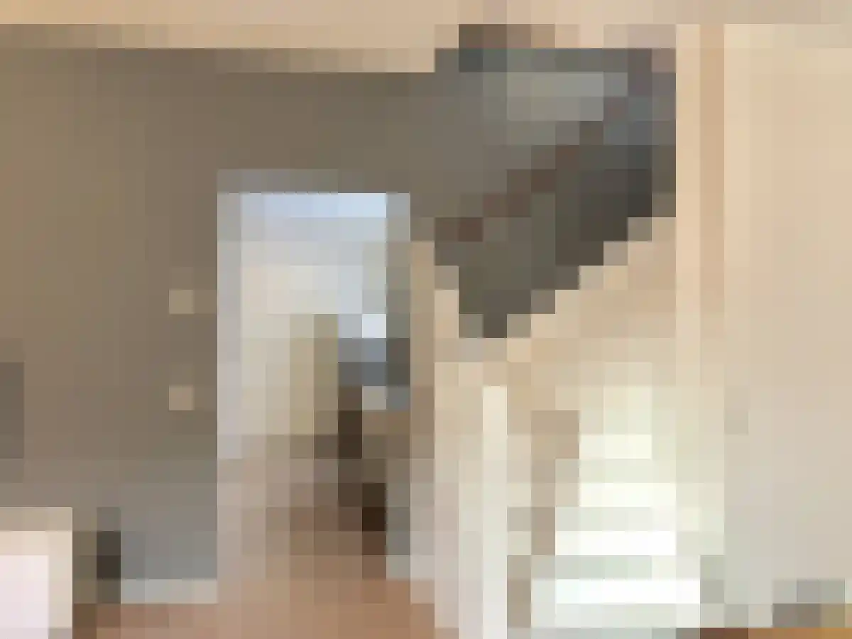 Jacobskerksteeg 5 Utrecht thumbnail 6