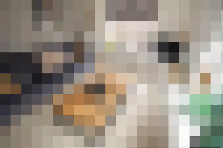 Jacobsonstraat 32 Wierden thumbnail 15