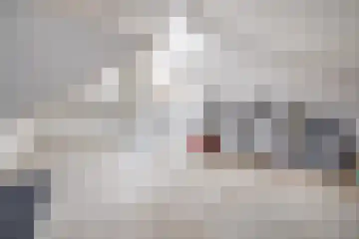 Jacobsonstraat 32 Wierden thumbnail 26
