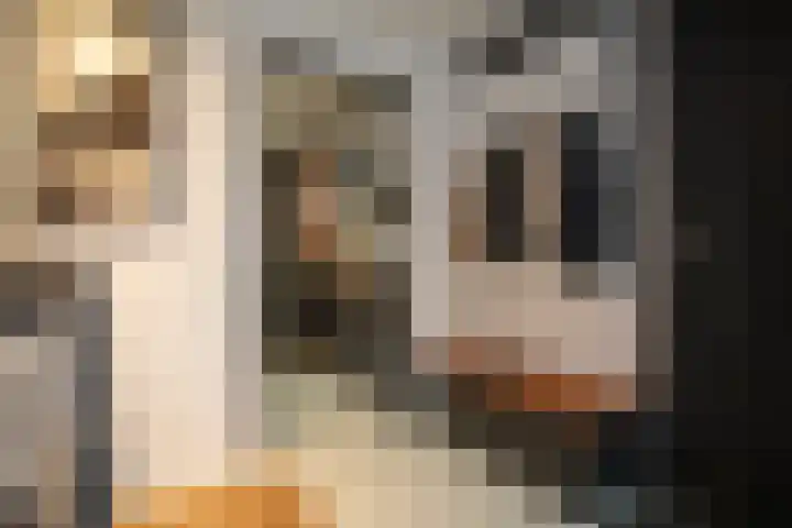 Jacobsonstraat 32 Wierden thumbnail 28