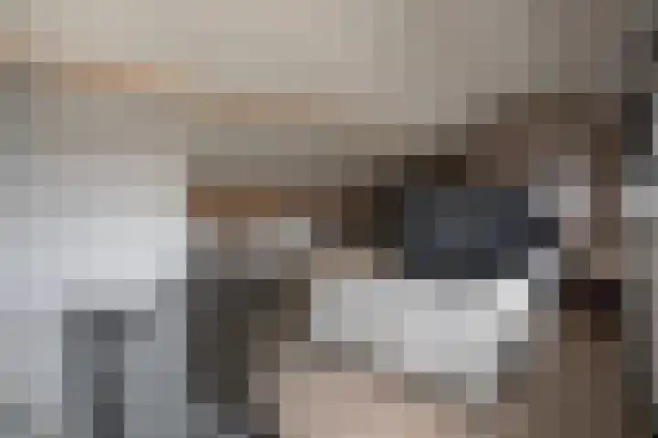 Jacobsonstraat 32 Wierden thumbnail 41