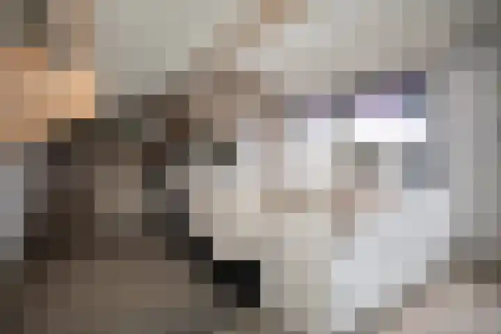 Jacobsonstraat 32 Wierden thumbnail 42
