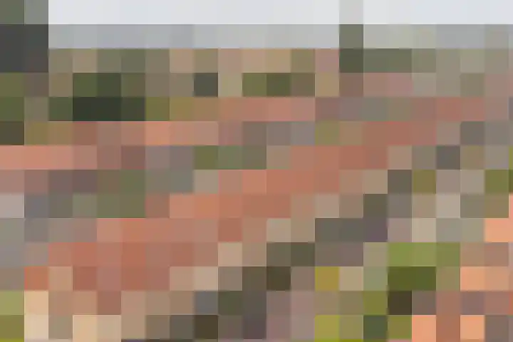 Jacobsonstraat 32 Wierden thumbnail 6