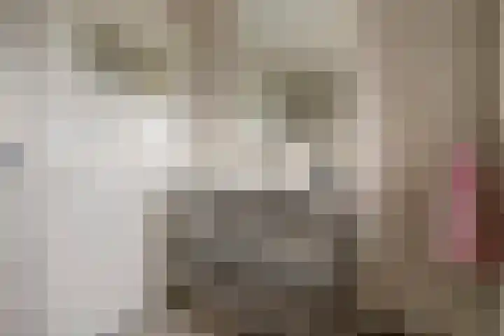 Jacobsonstraat 91 Wierden thumbnail 21