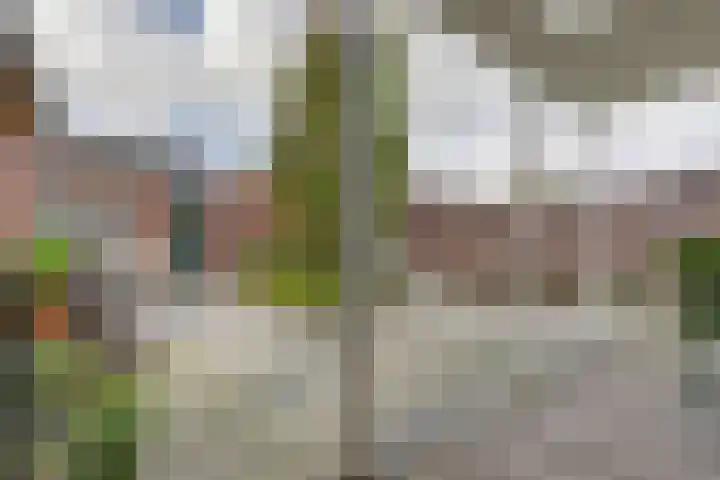 Jacobsonstraat 91 Wierden thumbnail 30