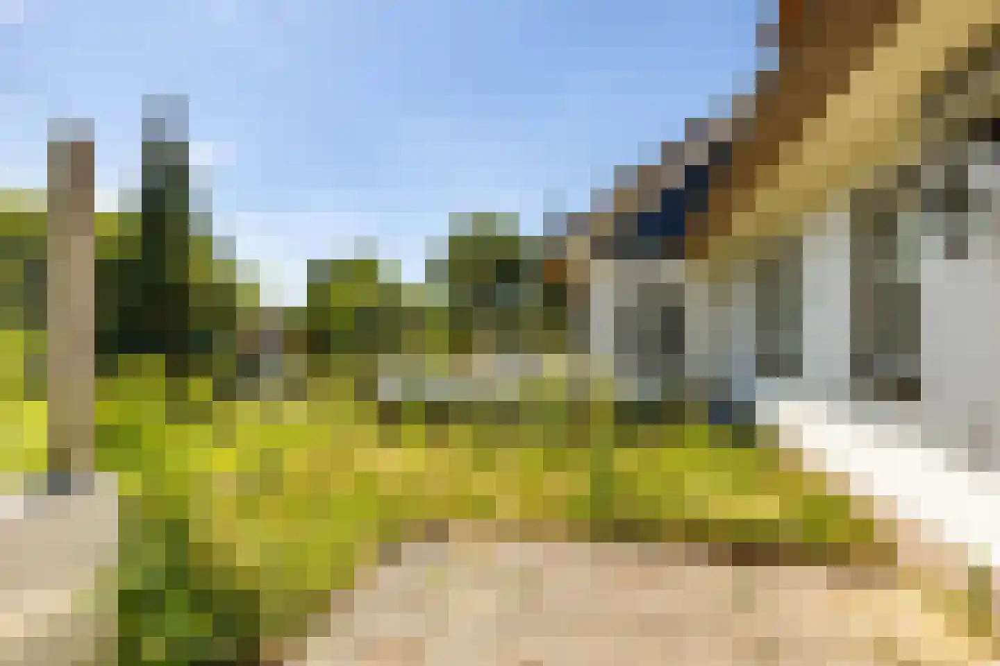 Jacobspad 2 Schiermonnikoog thumbnail 29