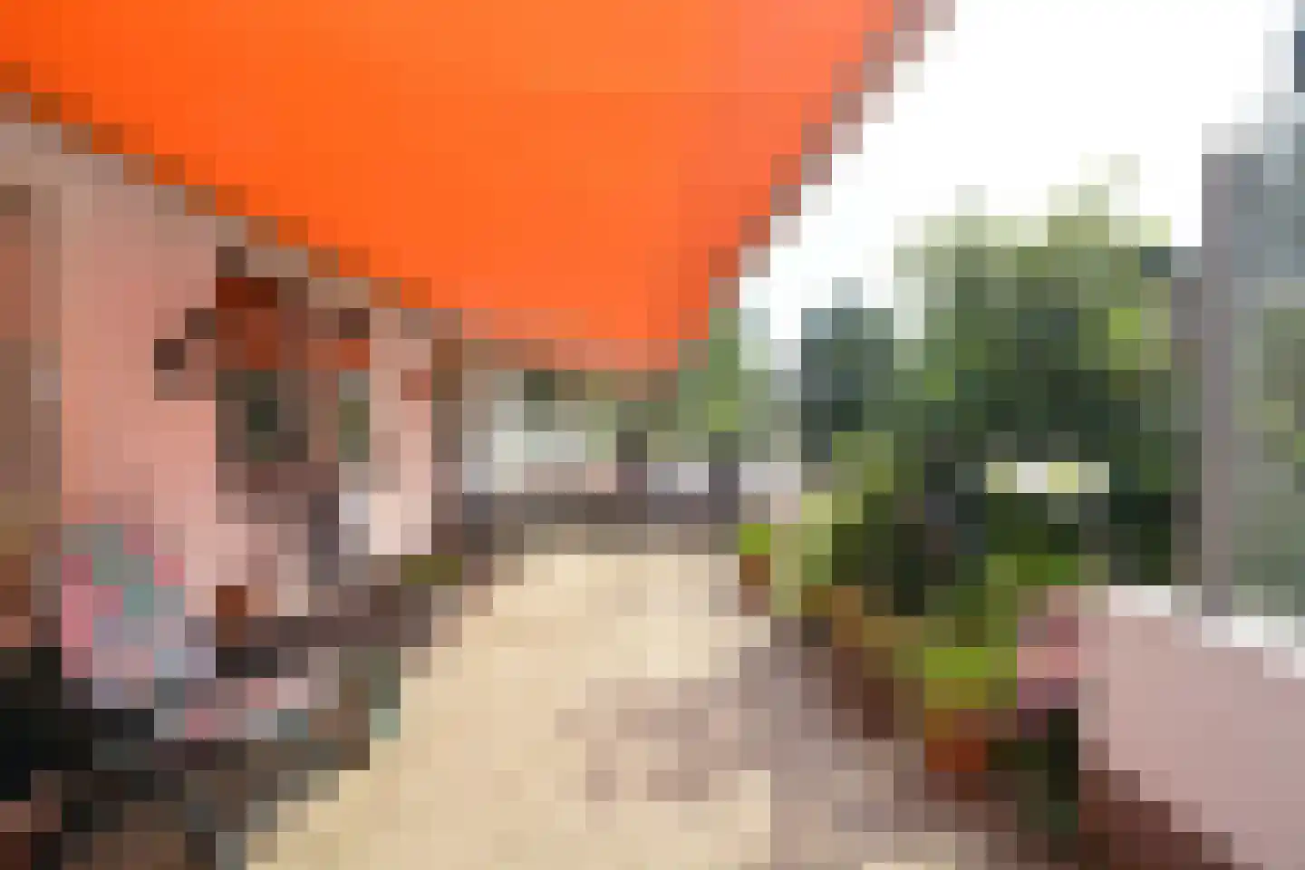 Jacobspad 2 Schiermonnikoog thumbnail 34