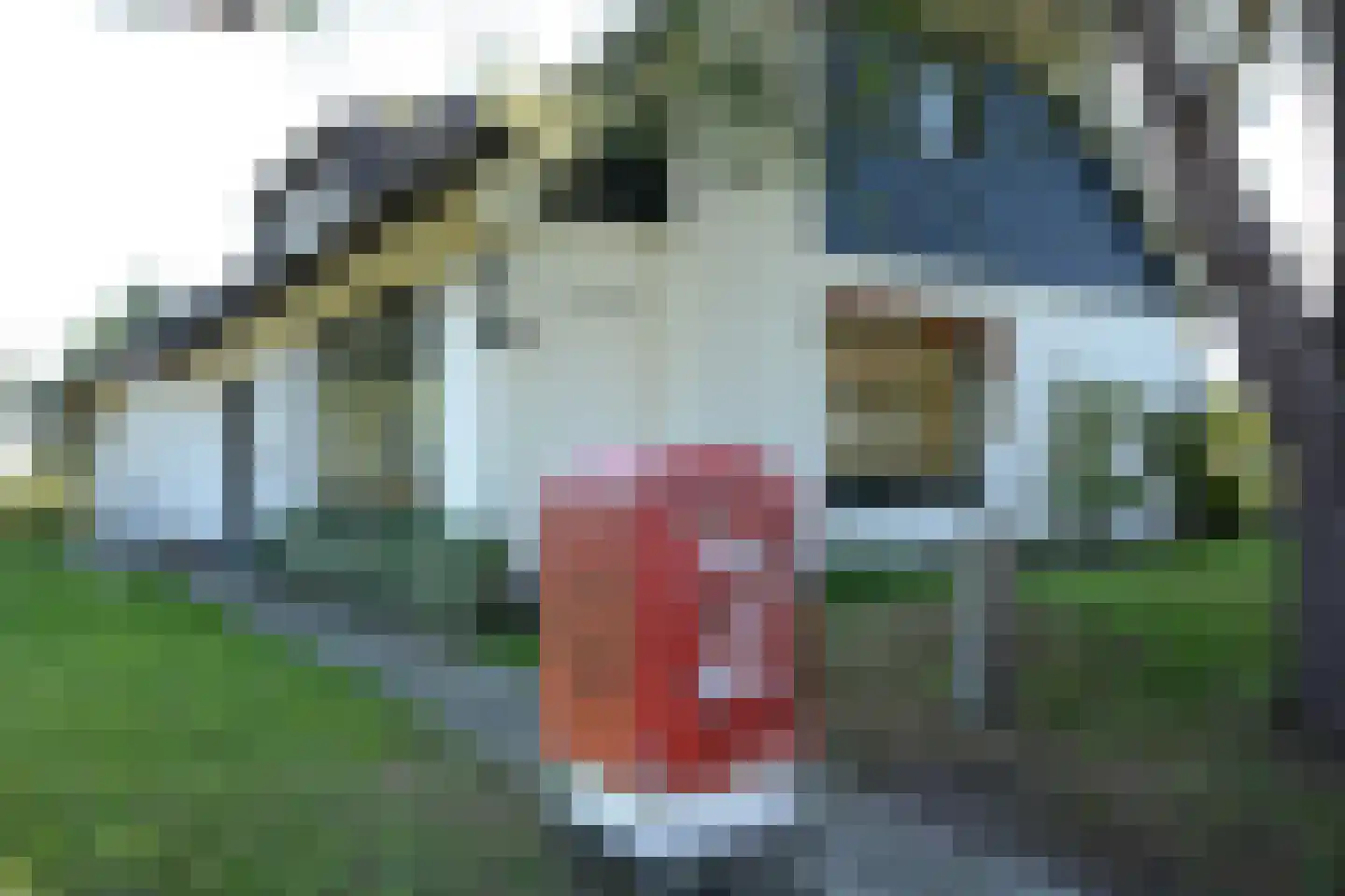 Jacobspad 2 Schiermonnikoog thumbnail 4